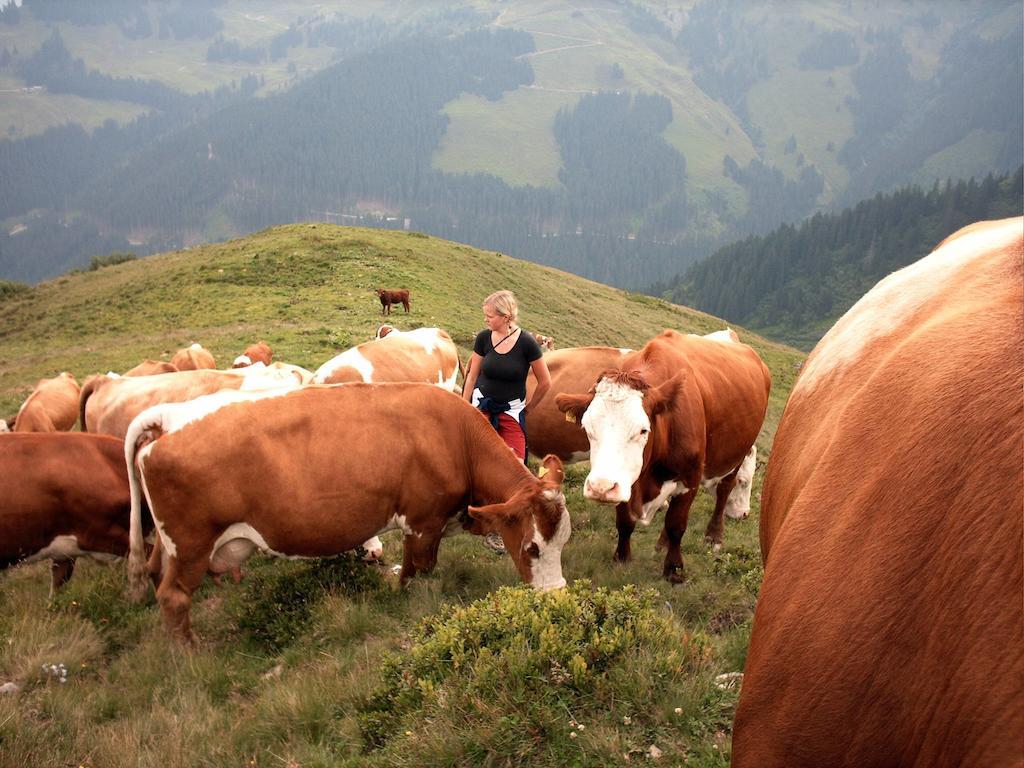 Willa Viehhofbauer Maria Alm am Steinernen Meer Zewnętrze zdjęcie